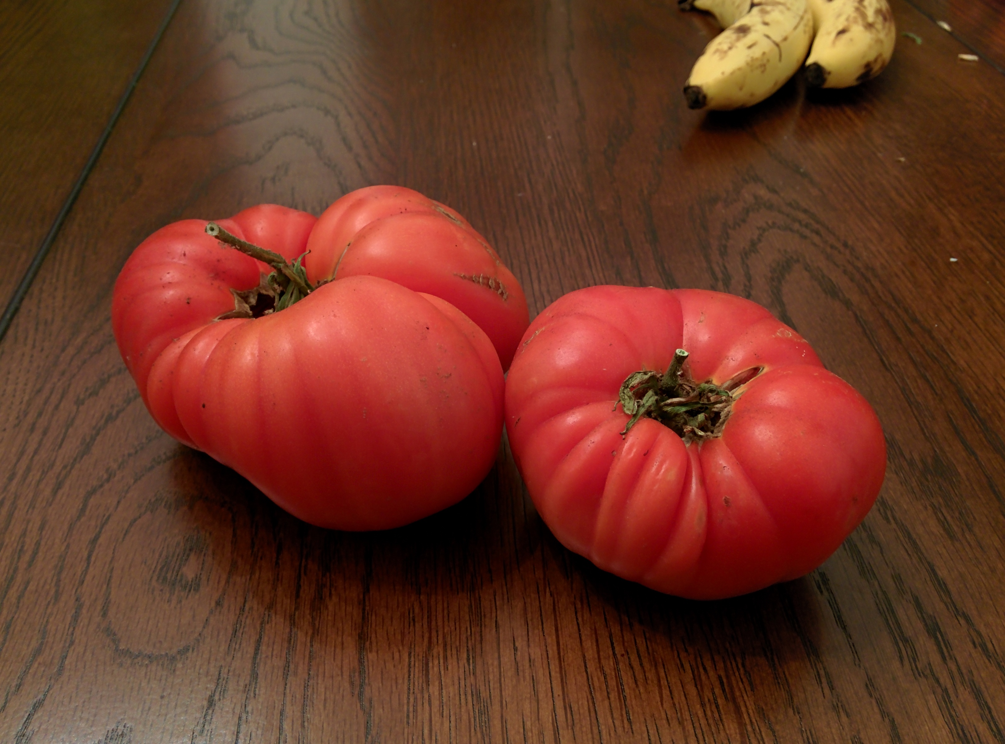 Gigantesque Tomatoes