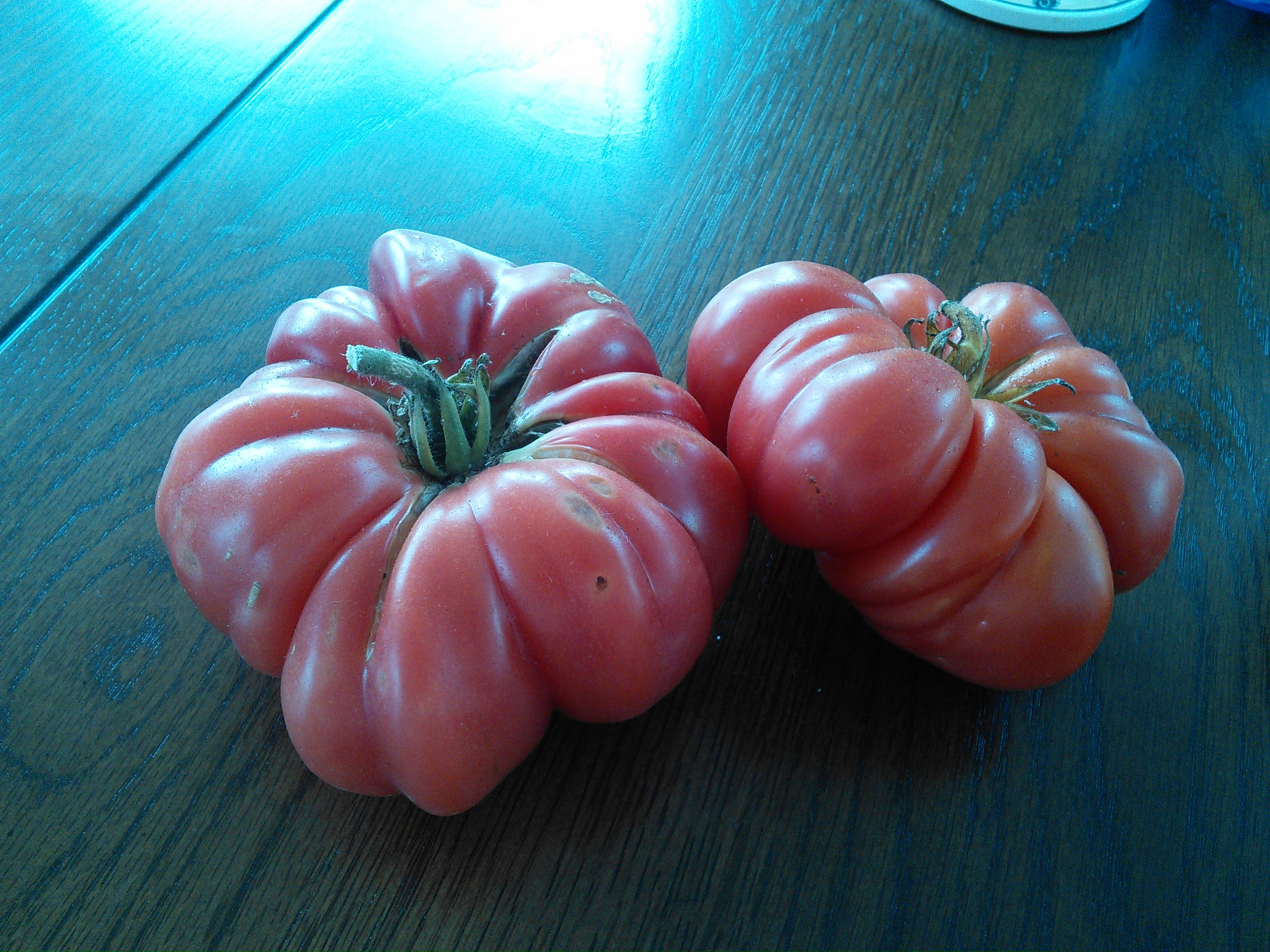 Ispolin Tomato