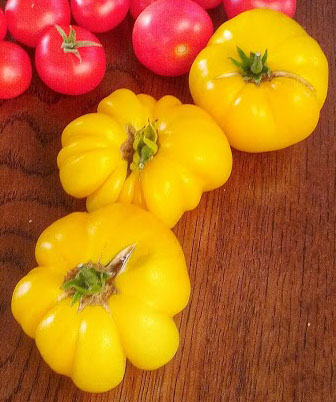 Ripe Azoychka Tomatoes