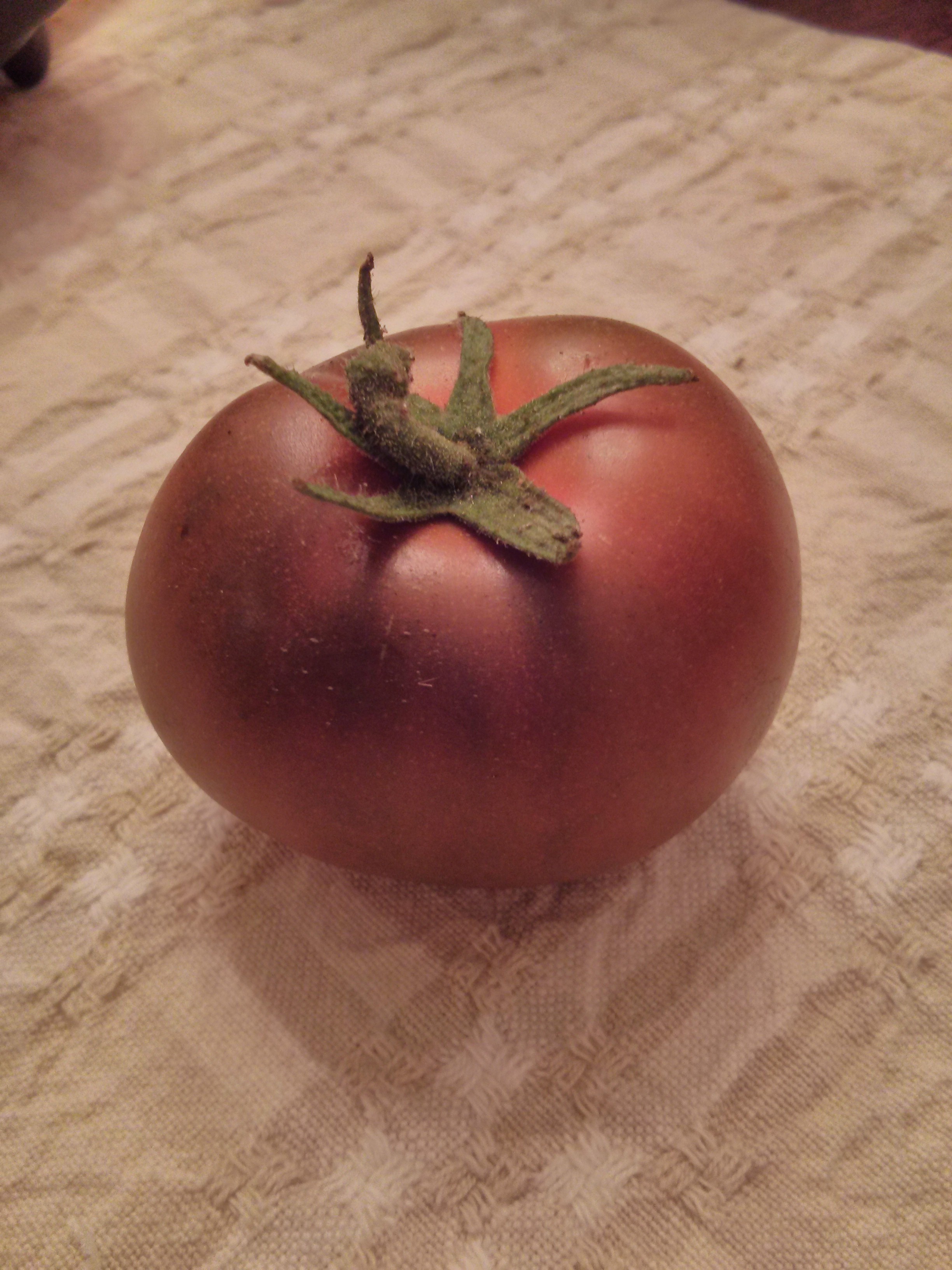 Black Prince Tomato