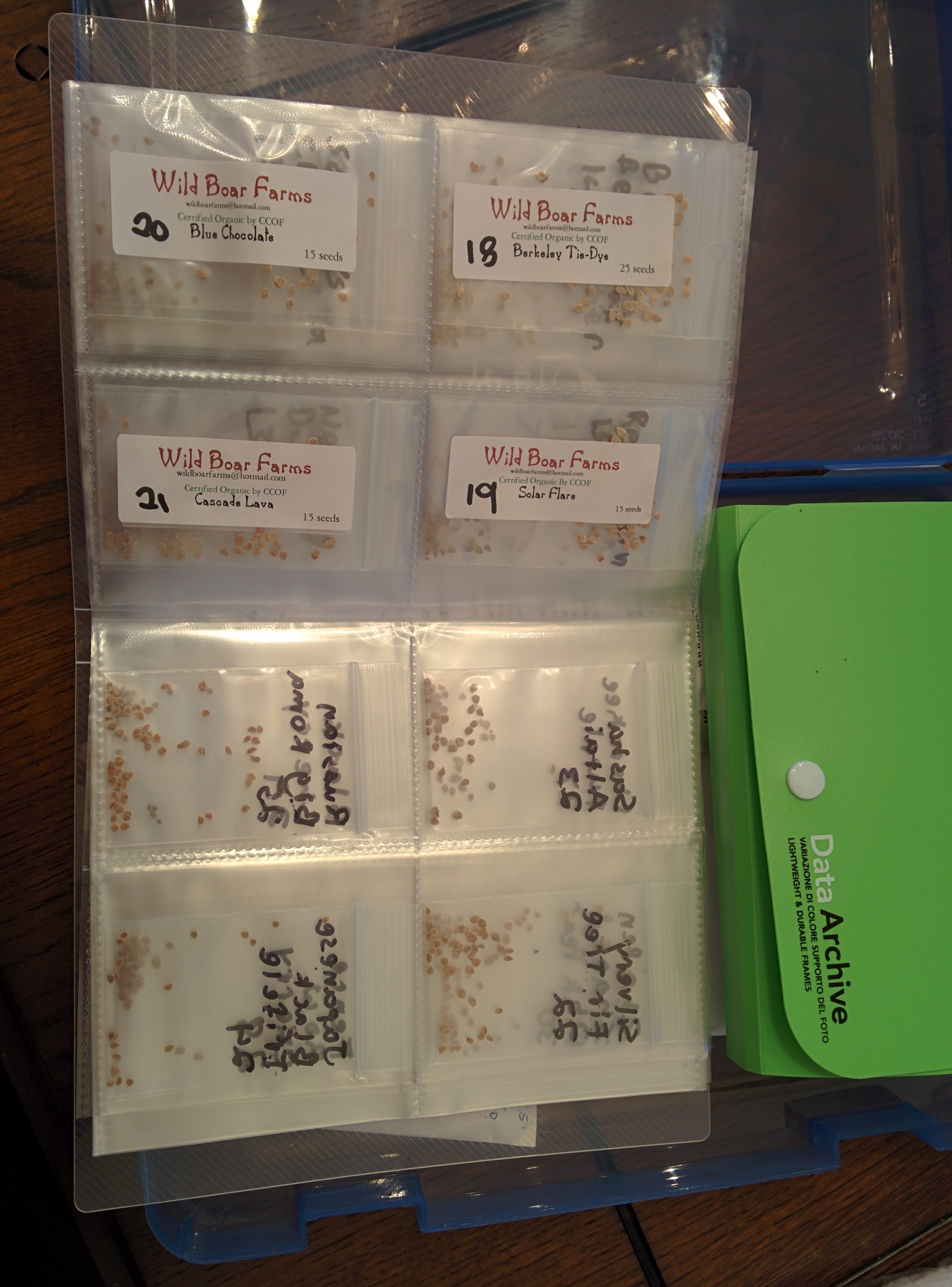 Seed organization Seed organization