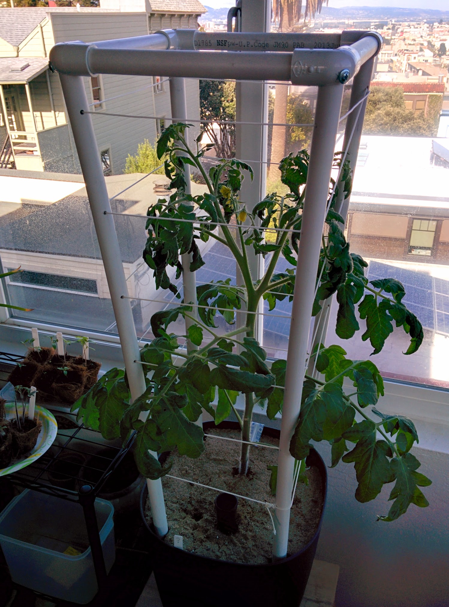 DIY Collapsible Tomato Cages for Containers - Mike's Home, Garden