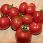 Beaverlodge Slicer Tomatoes