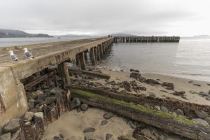 Pier at Crissy Field - no filter